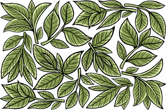 Download Leaf Graphic Element - Element Collection